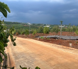 Cần bán Đất Xã Tân Hà Lâm Hà Diện tích 302m² Giá 495 Triệu Thổ Cư 177m²